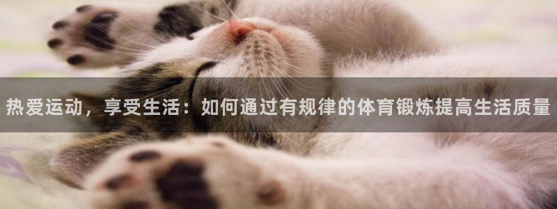球进体育APP下载安装：热爱运动，享受生活：如何通过有规律的体育锻炼提高生活质量