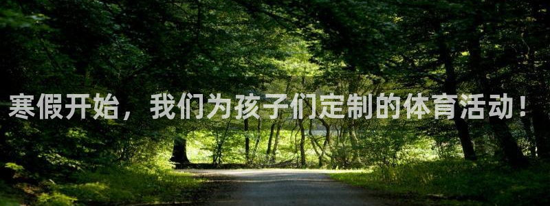 球进体育