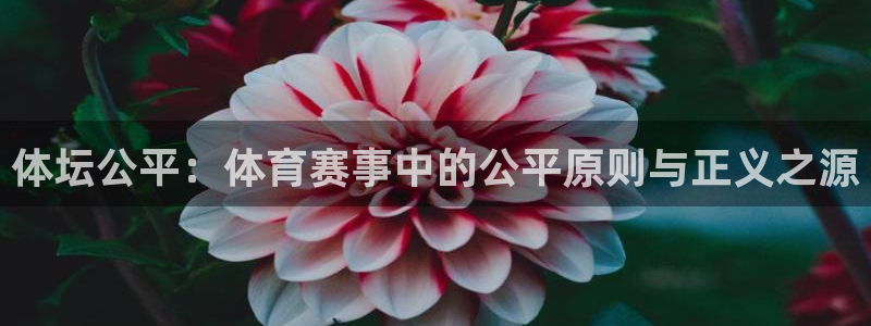 球进体育app下载：体坛公平：体育赛事中的公平原则与正义之源