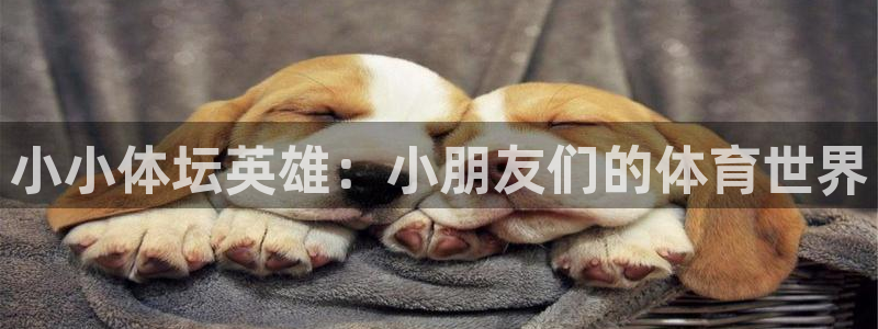 球进体育APP下载安装