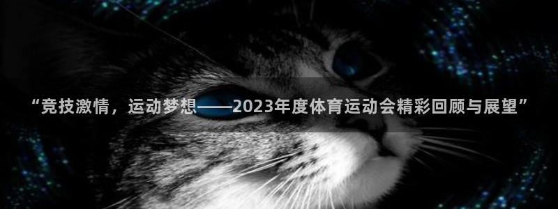 球进体育app下载：“竞技激情，运动梦想——2023年度体育运动会精彩回顾与展望”