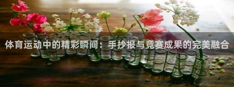 球进体育app下载