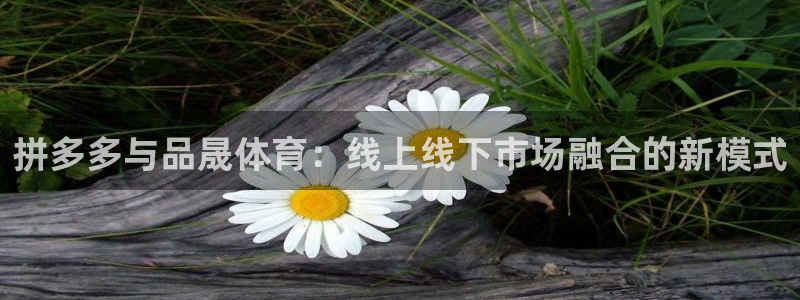 球进体育官方网站入口