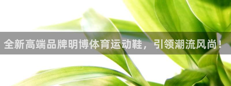 球进体育官方网站入口