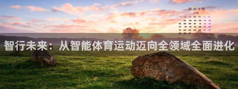 球进体育APP下载安装：智行未来：从智能体育运动迈向全领域全面进化